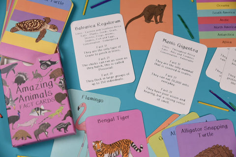Button & Squirt Amazing Animals Fact Cards Set Two