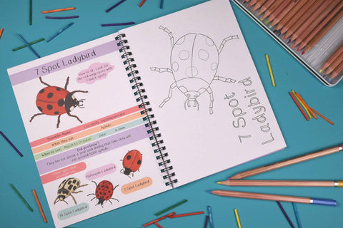 Button & Squirt Amazing British Bugs Fact and Activity Book