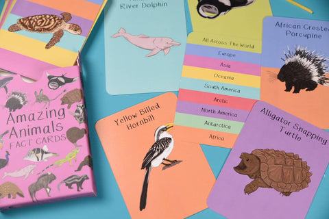 Button & Squirt Amazing Animals Fact Cards Set Two