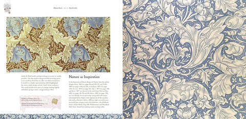 William Morris: Artist Craftsman Pioneer