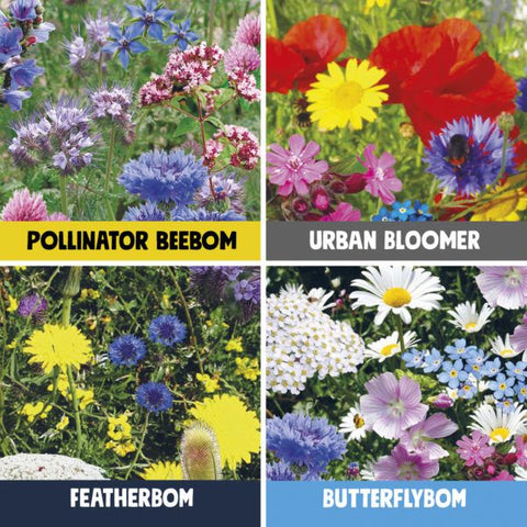 Kabloom Birds, Bees & Butterflies Gift Sets