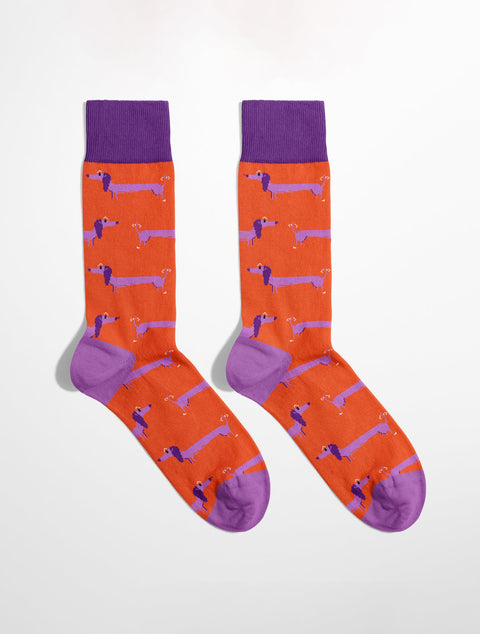 Banana Socks Happy Daschund