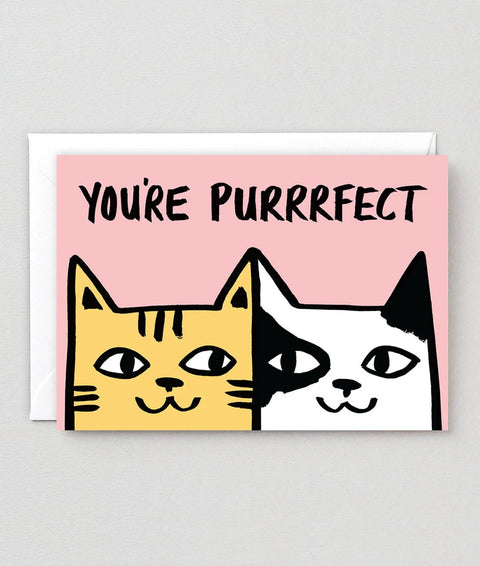 Wrap You're Purrrfect Card