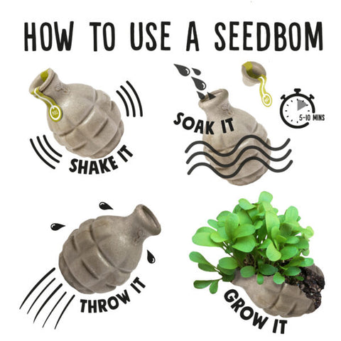 Kabloom Pollinator Beebom