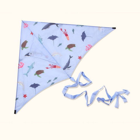Ocean - Sustainable Kite, Eco Beach