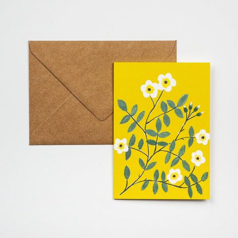 Hadley - Wild Rose Card