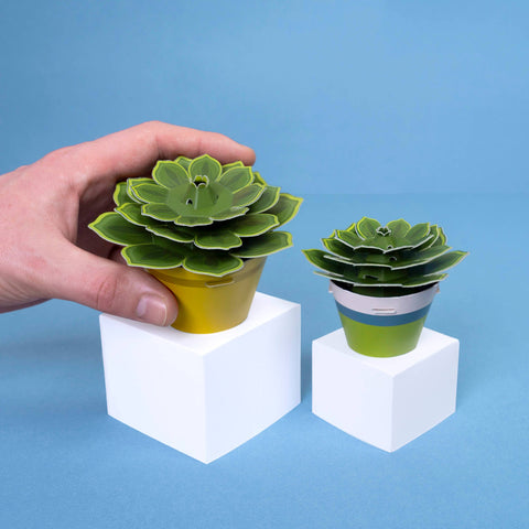 Clockwork Soldier - Mini Paper Plant Kit Succulents