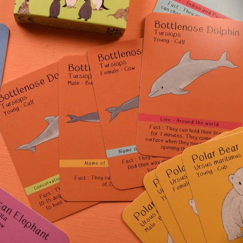 Button & Squirt Amazing Animal Families Card Game