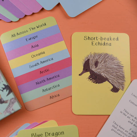 Button & Squirt Amazing Animals Fact Cards Set One