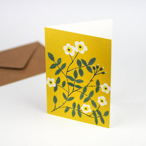 Hadley - Wild Rose Card