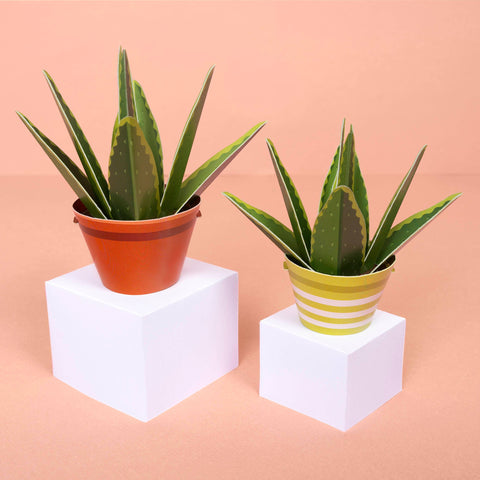 Clockwork Soldier - Mini Paper Plant Kit Aloe Vera