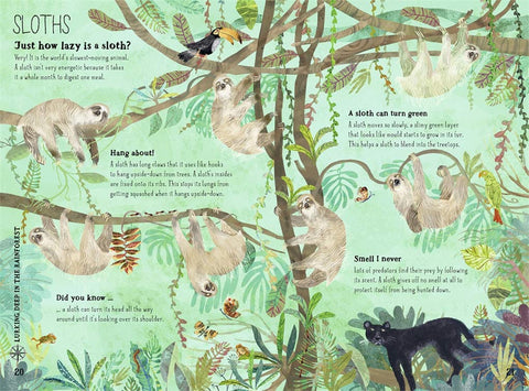 The Big Book of Beasts, Yuval Zommer