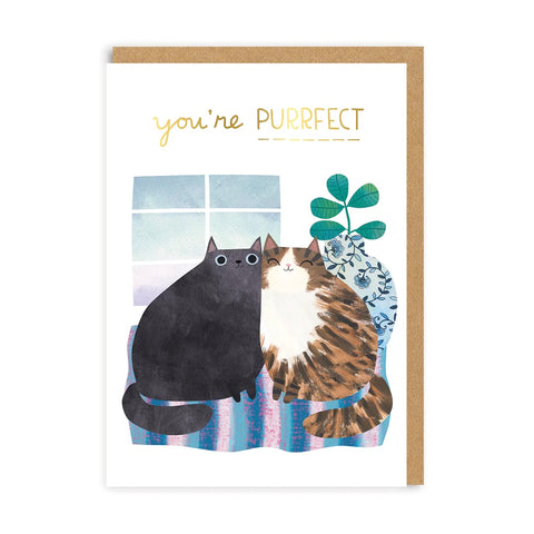 You're purrfect Anniversary Cats Card