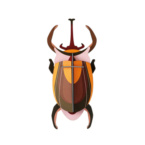 Studio ROOF Insect - Elephant Beetle