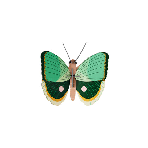 Studio ROOF Insect - Fern Striped Butterfly