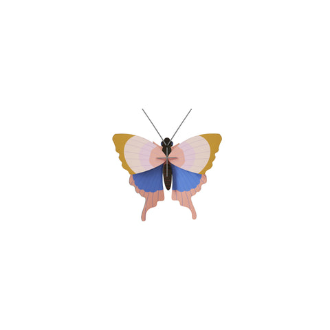 Studio ROOF Insect - Gold Rim Butterfly