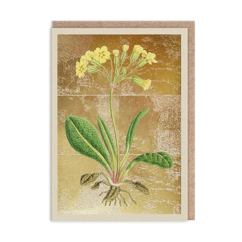 Cowslip Greeting Card