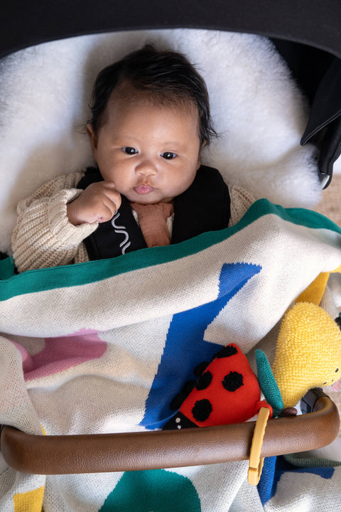 Sophie Home Stroller/Pram Activity Toy Ladybird