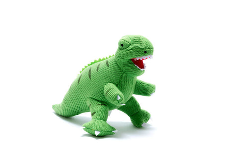 Best Years Knitted Green T Rex Dinosaur