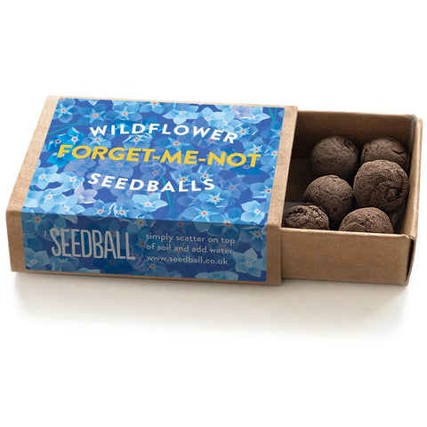 Seedball Seed Boxes